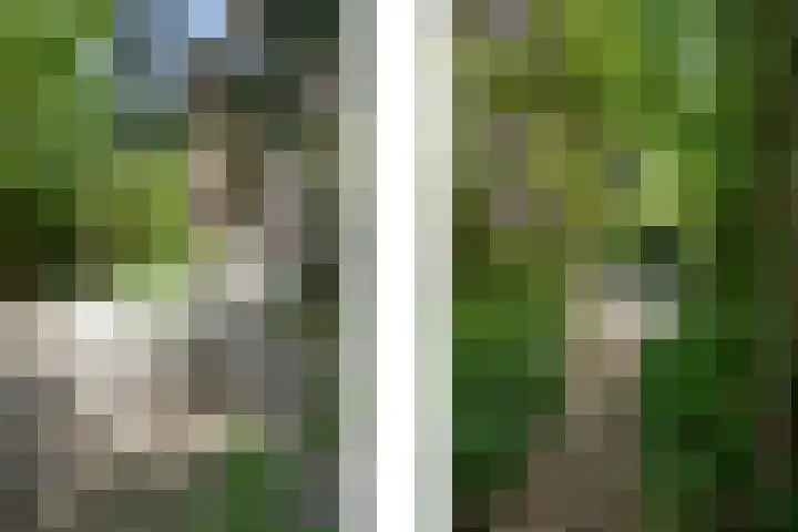 Mecklenburglaan 34 Rotterdam thumbnail 31