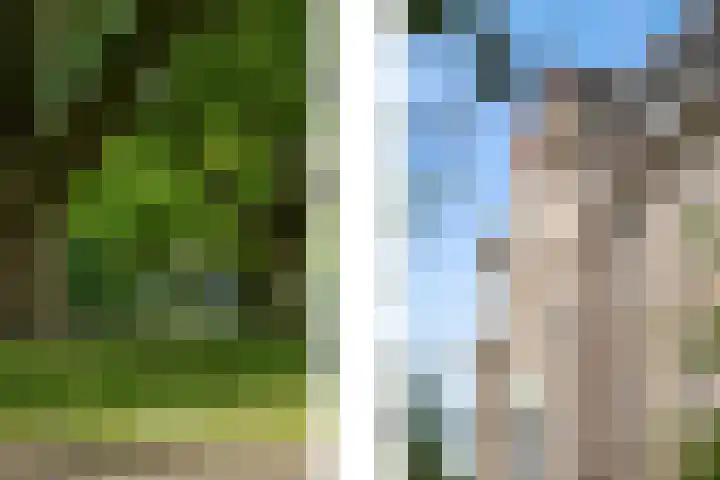 Mecklenburglaan 34 Rotterdam thumbnail 33