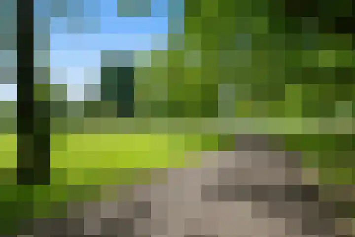 Mecklenburglaan 34 Rotterdam thumbnail 34