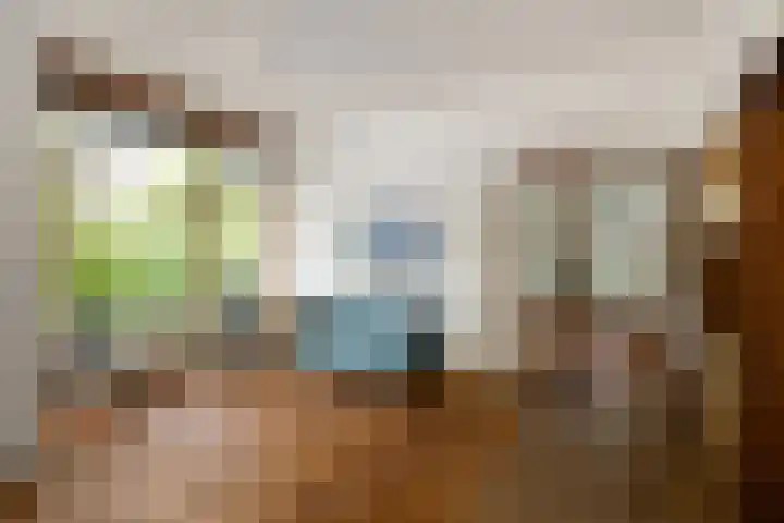Mecklenburglaan 34 Rotterdam thumbnail 7
