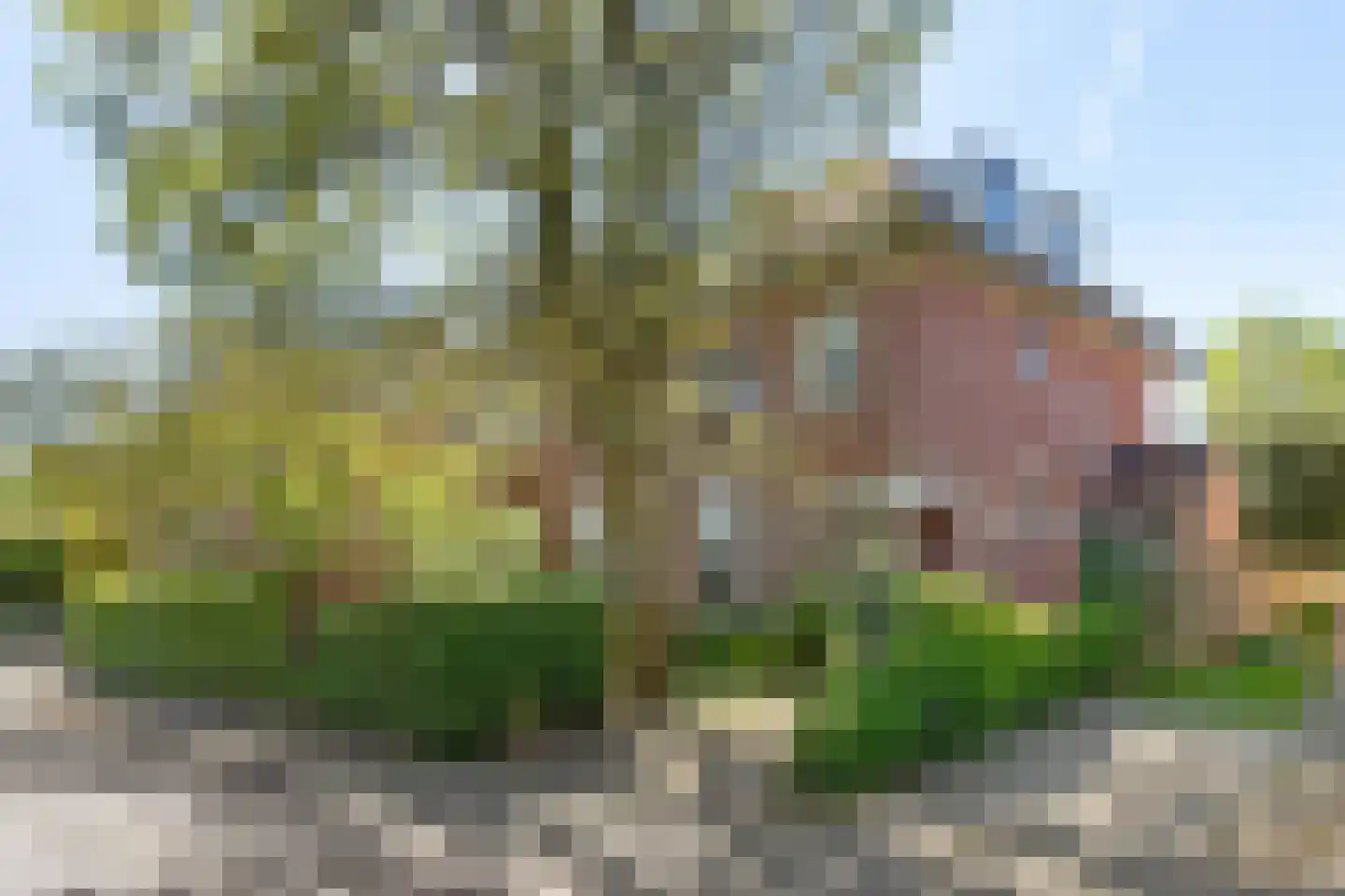 Mecklenburglaan 37 in Bussum