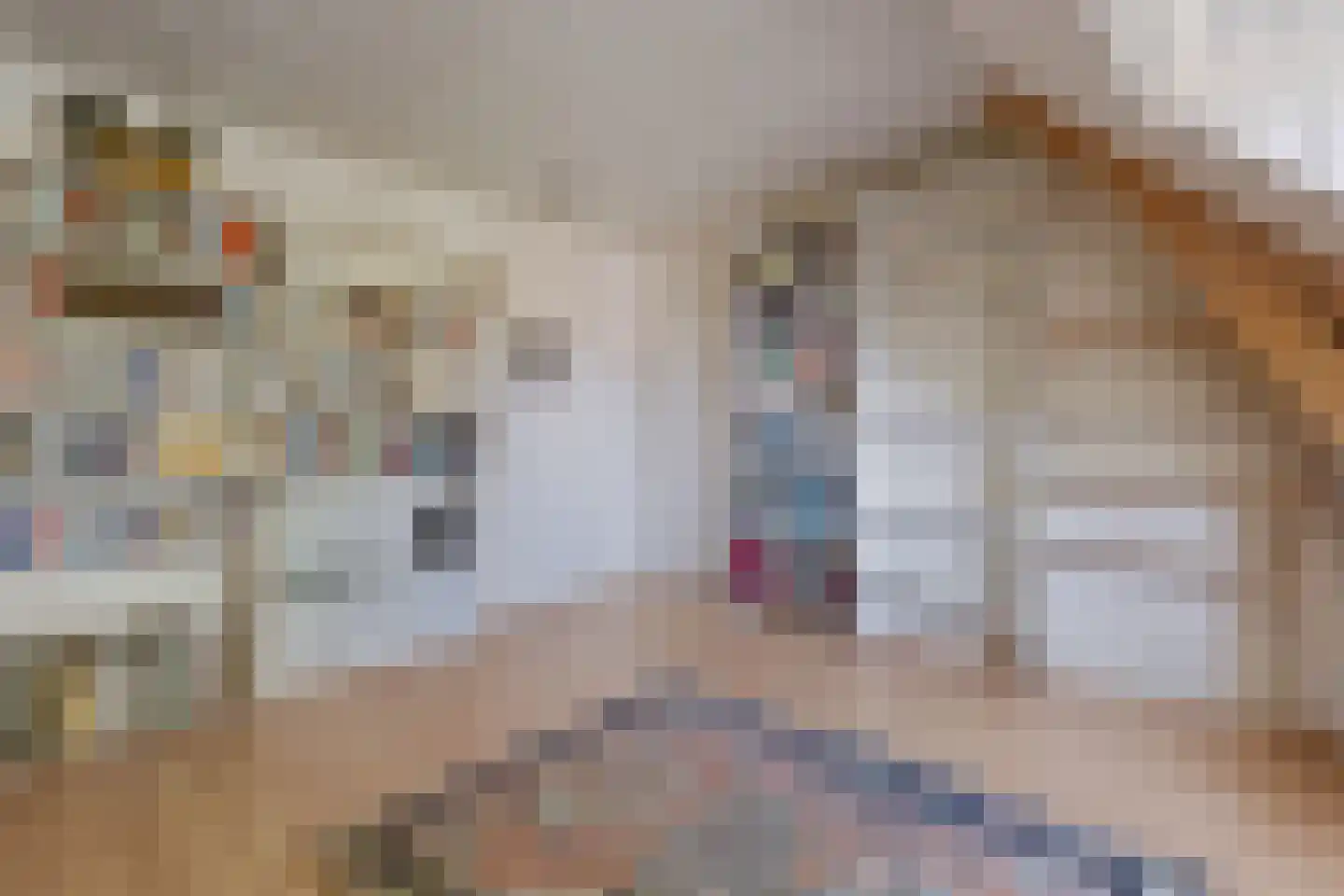 Mecklenburglaan 37 Bussum thumbnail 31