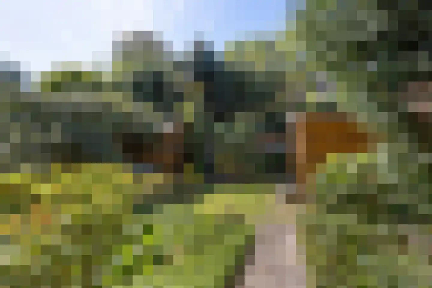 Mecklenburglaan 37 Bussum thumbnail 39