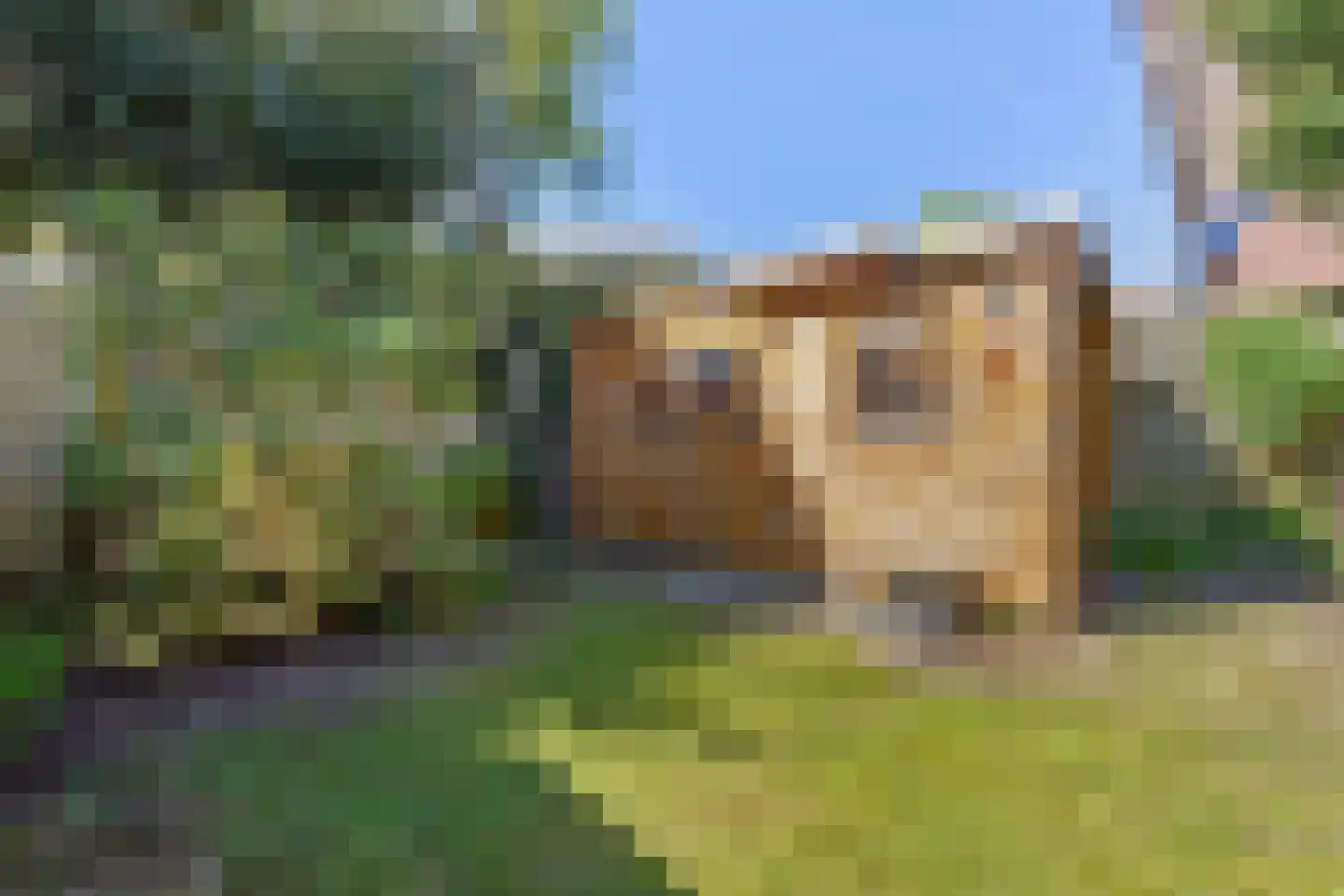 Mecklenburglaan 37 Bussum thumbnail 41