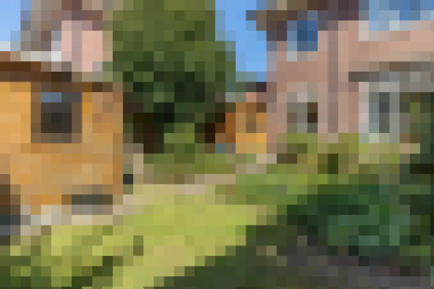 Mecklenburglaan 37 Bussum thumbnail 46