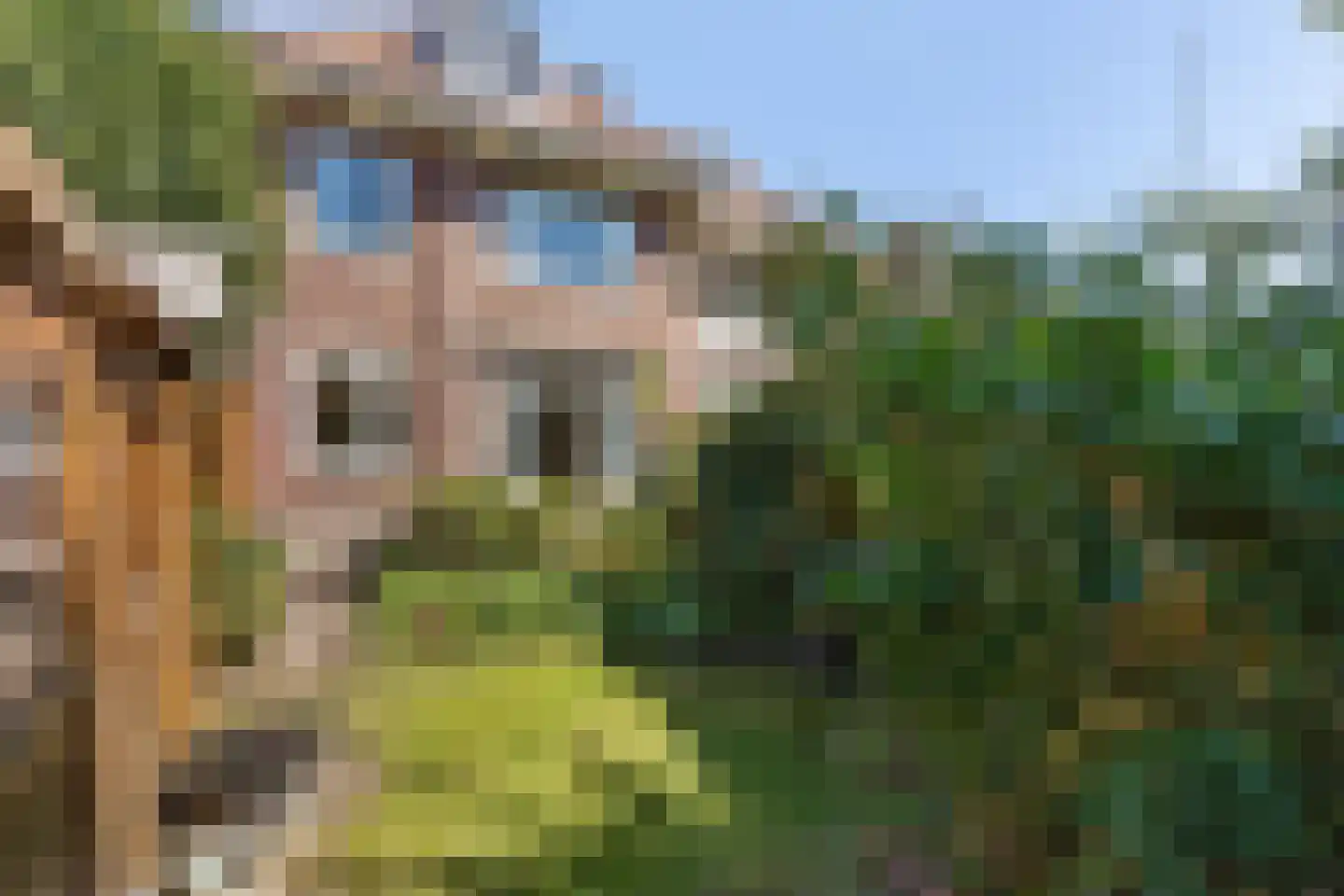 Mecklenburglaan 37 Bussum thumbnail 47