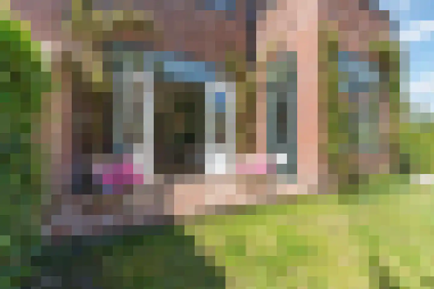 Mecklenburglaan 41 Bussum thumbnail 43