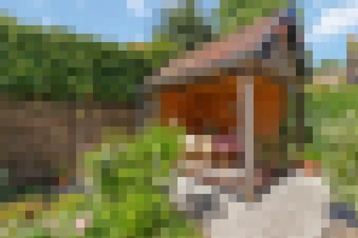 Mecklenburglaan 41 Bussum thumbnail 52