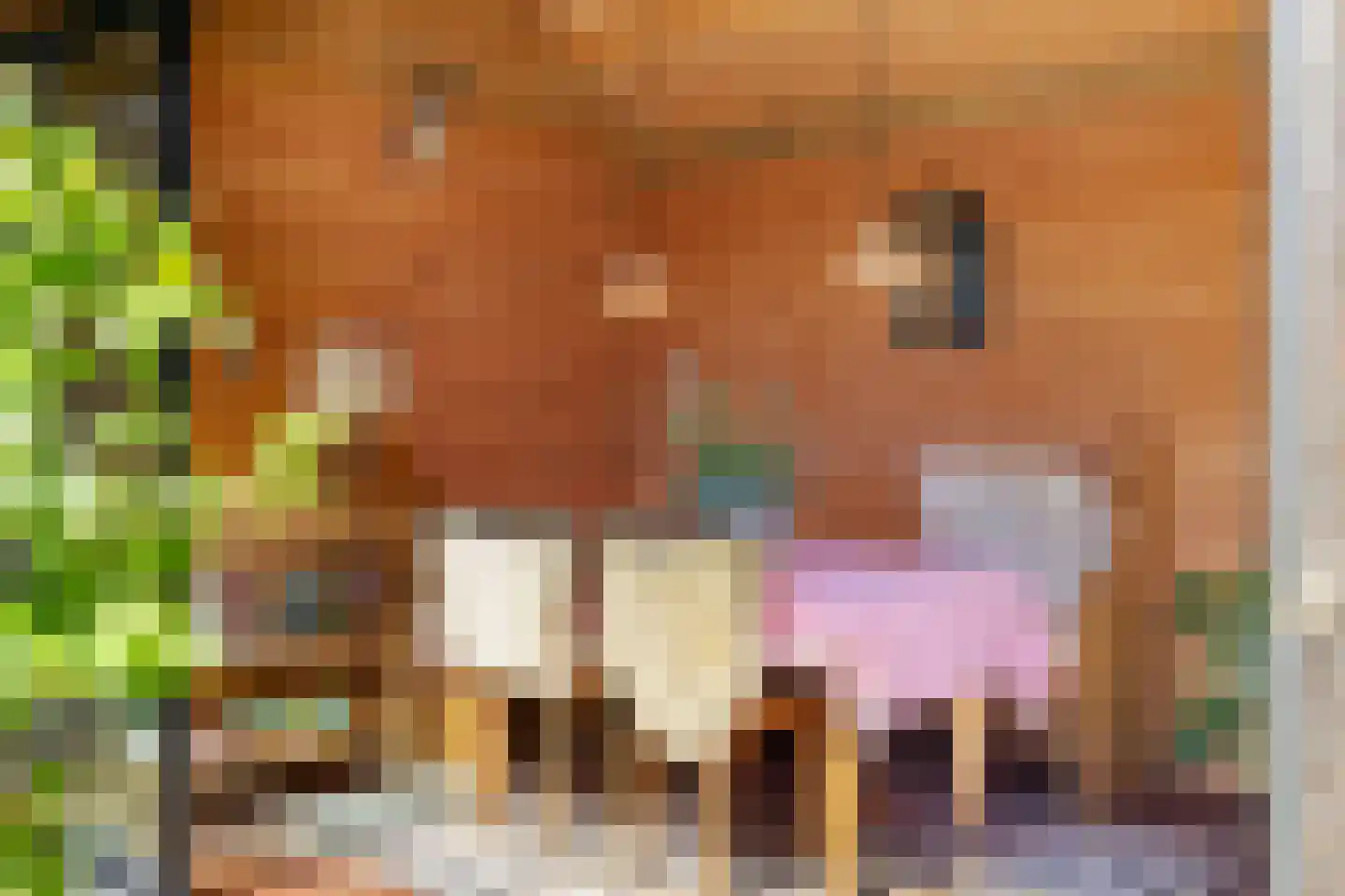 Mecklenburglaan 41 Bussum thumbnail 53