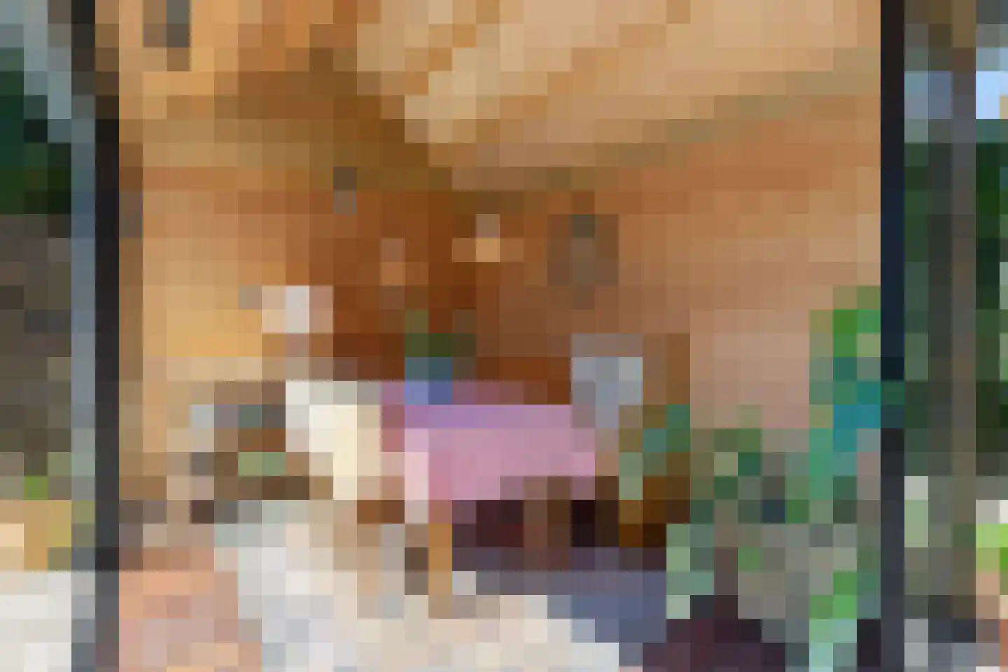 Mecklenburglaan 41 Bussum thumbnail 54