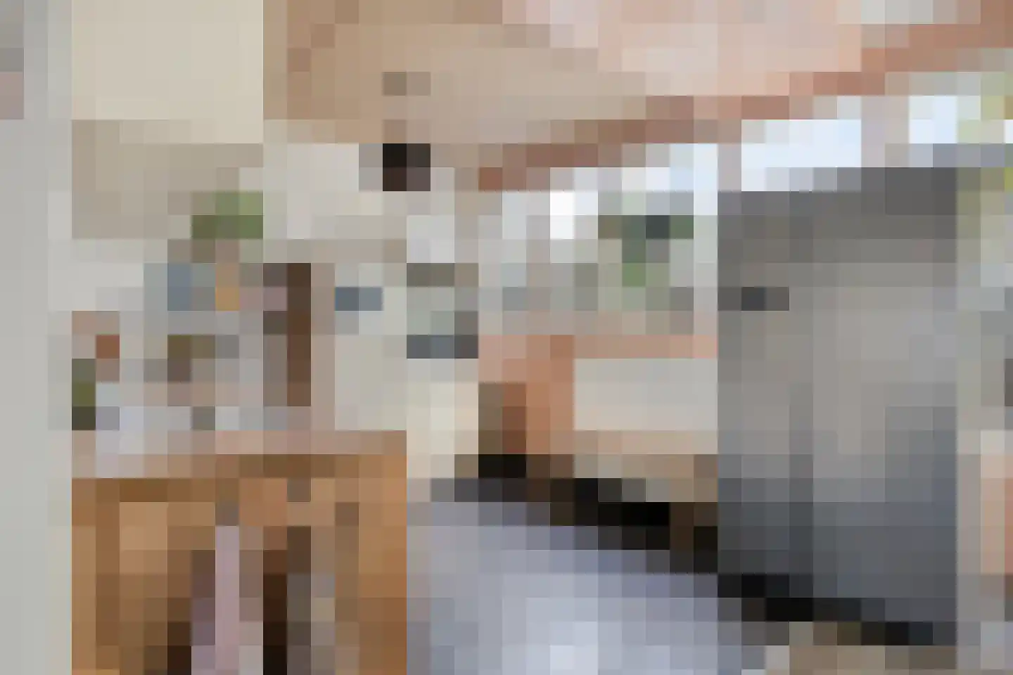 Mecklenburglaan 44 Goes thumbnail 10
