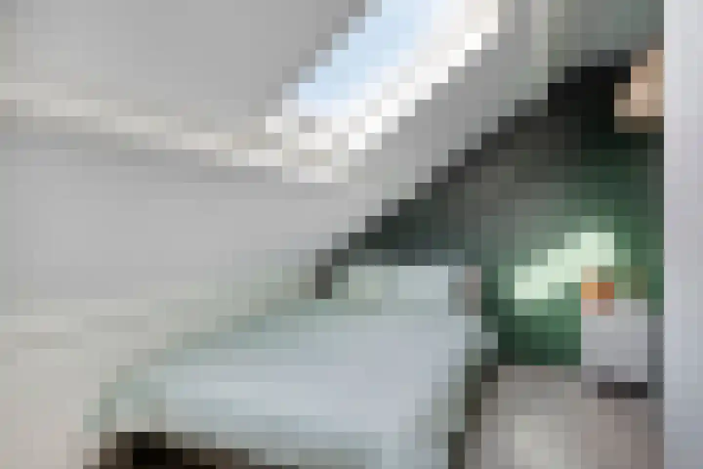 Mecklenburglaan 44 Goes thumbnail 21