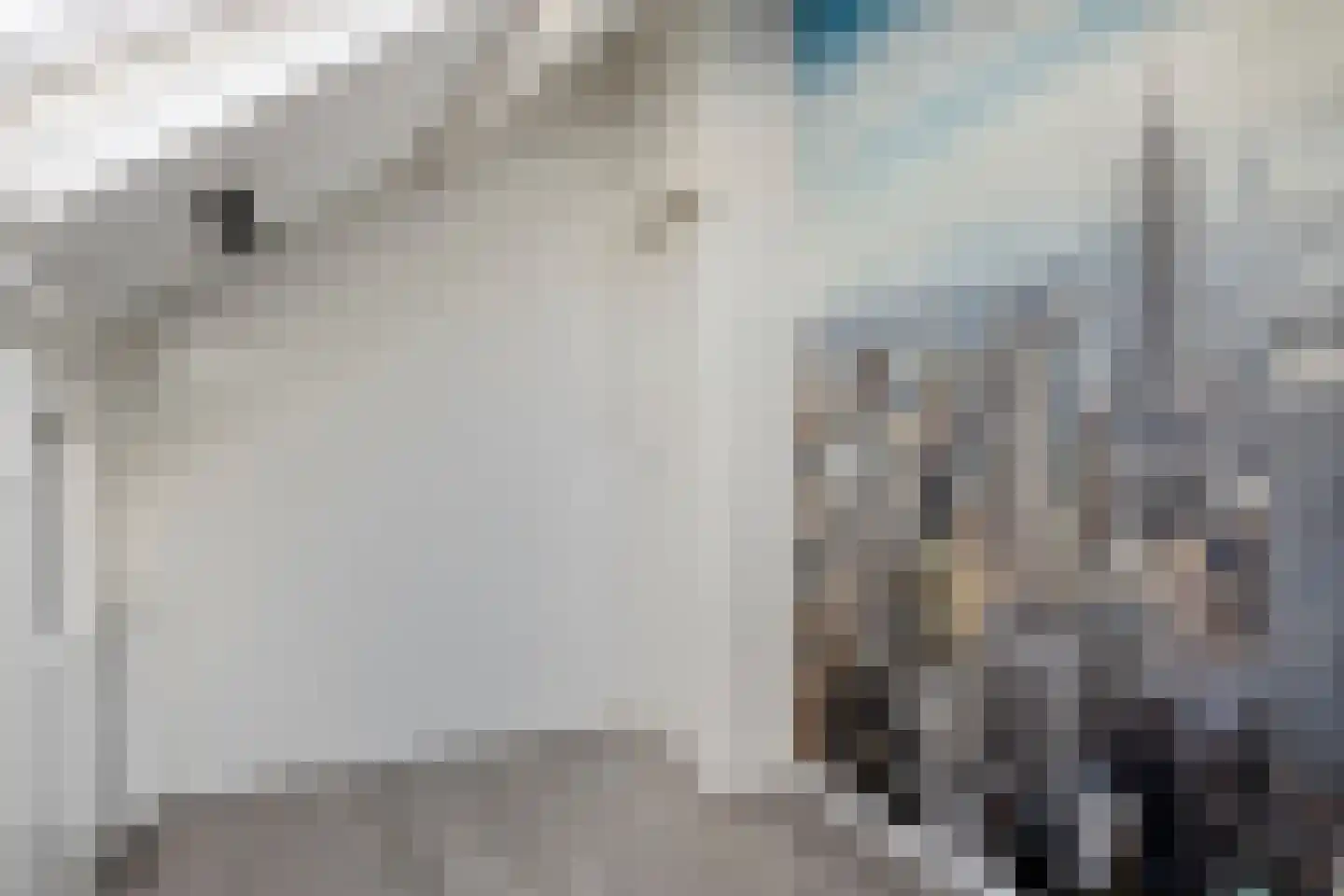 Mecklenburglaan 44 Goes thumbnail 24