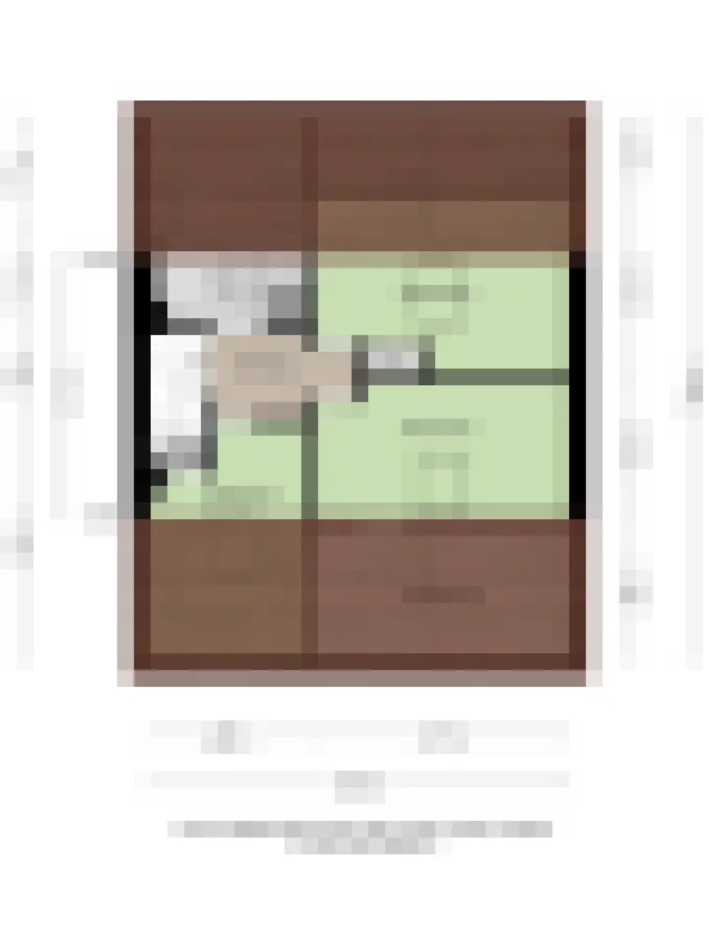Mecklenburglaan 44 Goes thumbnail 35