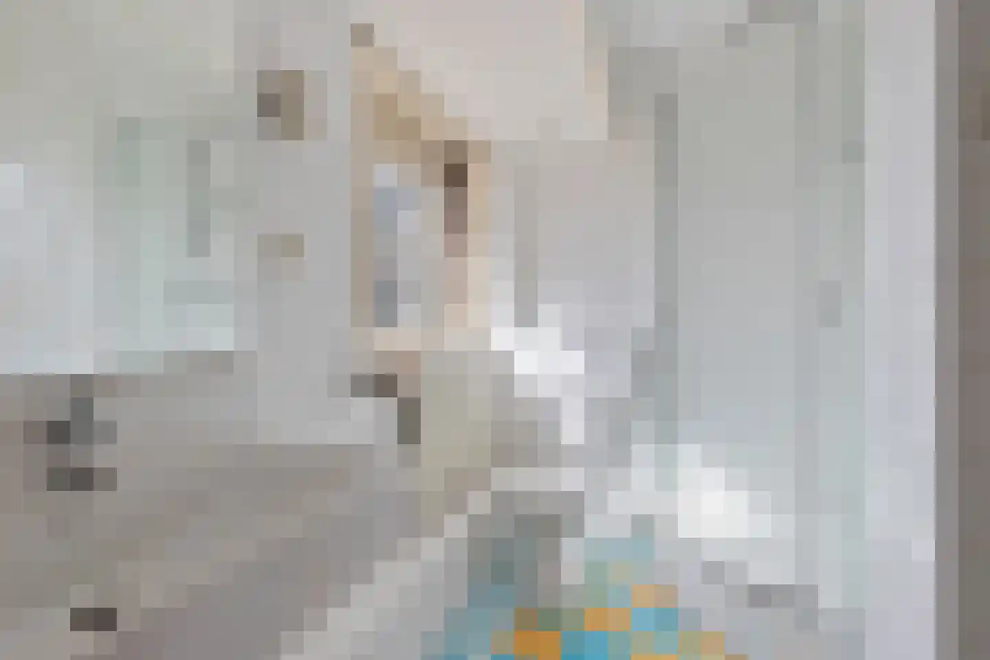 Mecklenburglaan 49 Bussum thumbnail 24