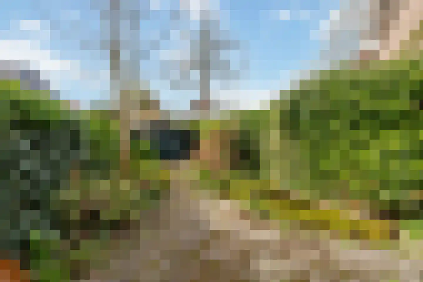 Mecklenburglaan 49 Bussum thumbnail 34