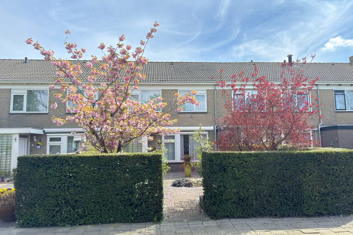 Mecklenburglaan 6 en Goes foto