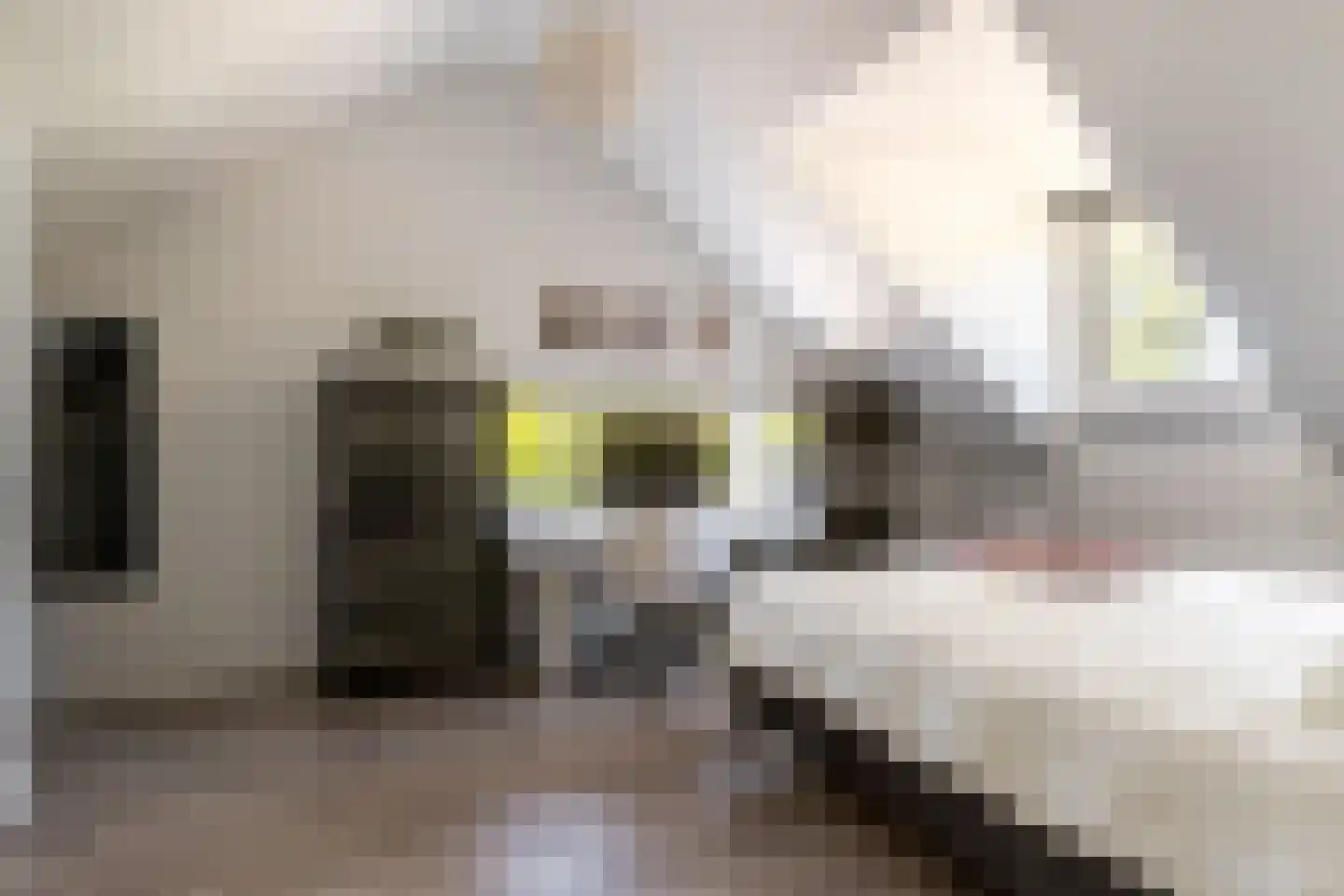 Mecklenburglaan 74 Harderwijk thumbnail 40