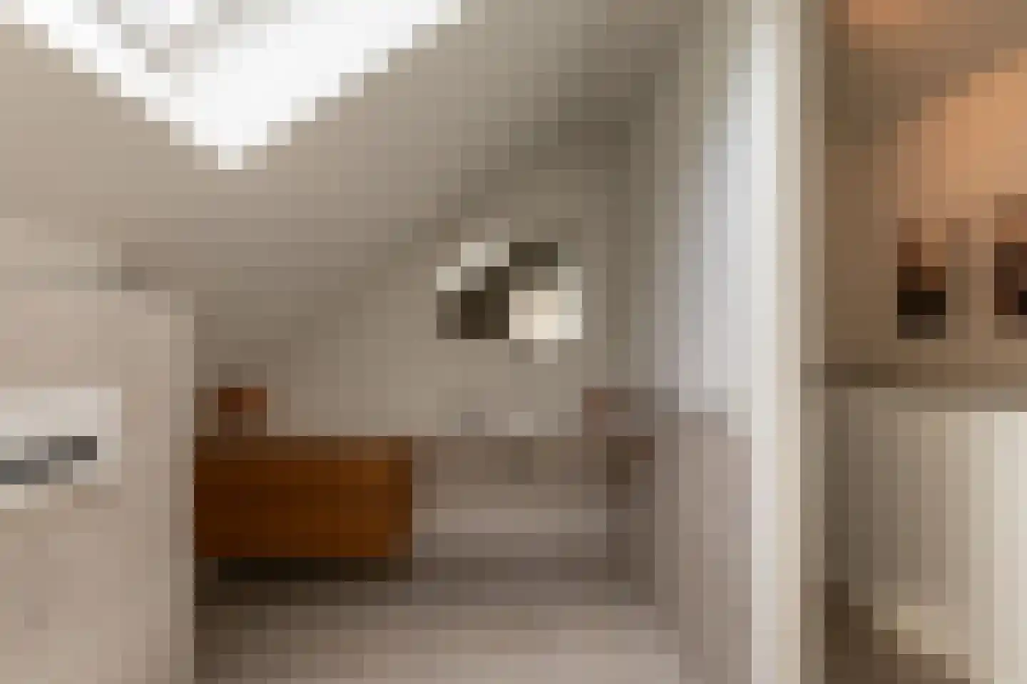 Mecklenburglaan 74 Harderwijk thumbnail 46