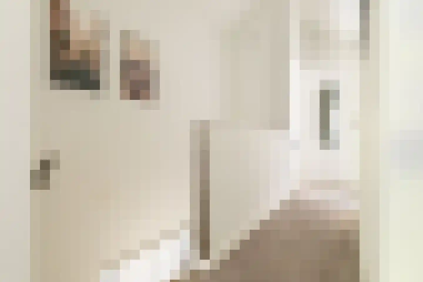 Mecklenburglaan 74 Harderwijk thumbnail 50