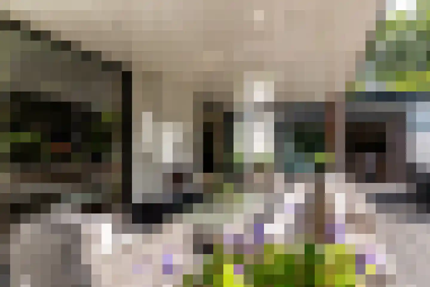 Mecklenburglaan 74 Harderwijk thumbnail 55