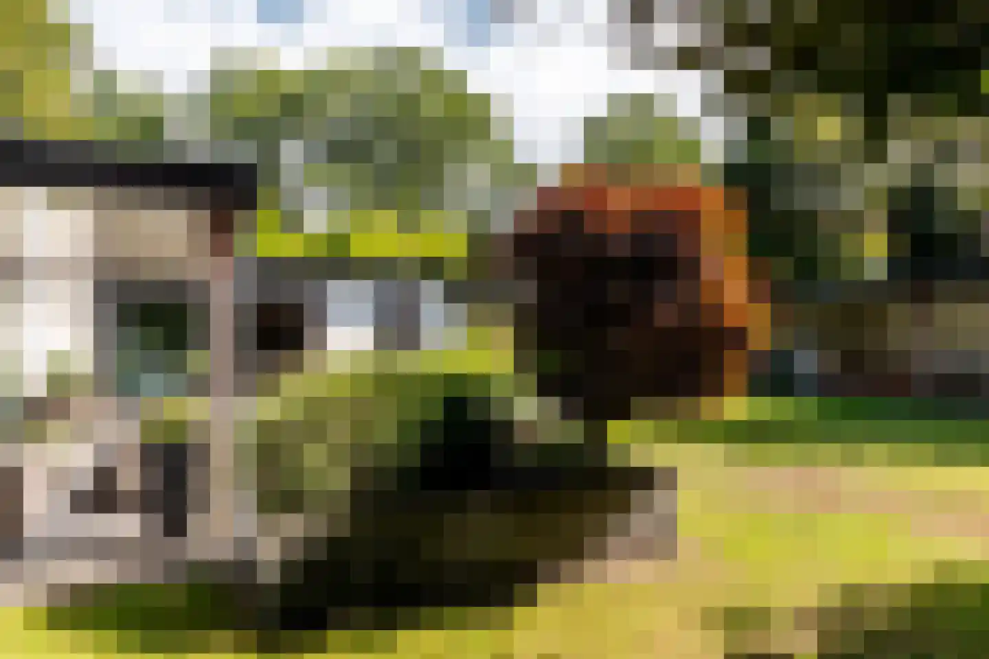 Mecklenburglaan 74 Harderwijk thumbnail 60