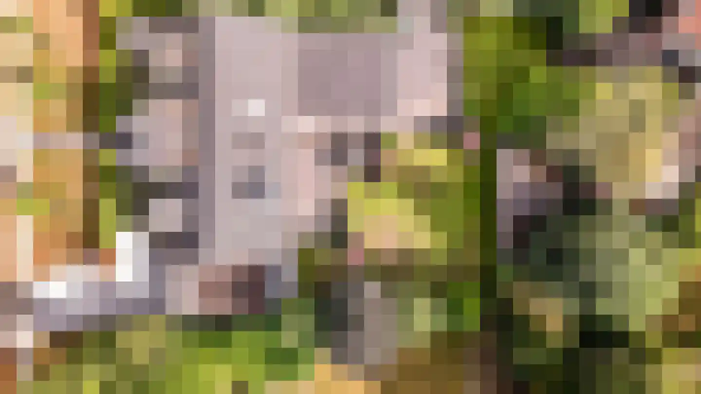 Mecklenburglaan 74 Harderwijk thumbnail 69