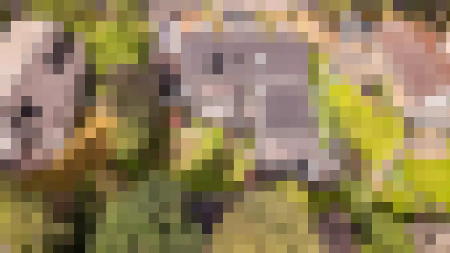 Mecklenburglaan 74 Harderwijk thumbnail 70