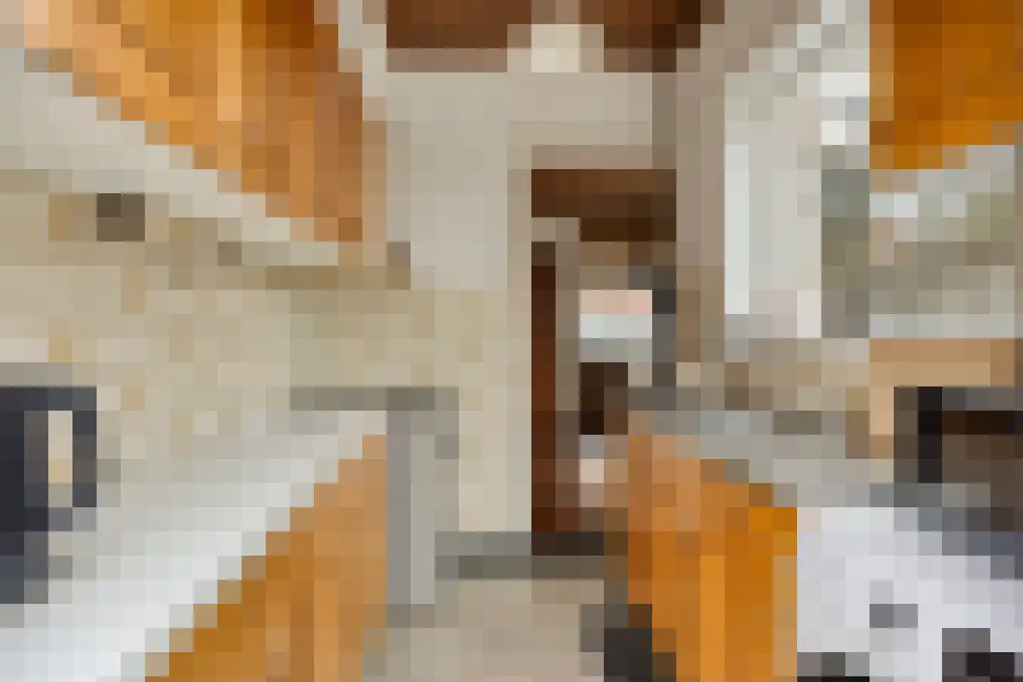 Mecklenburgstraat 22 Eindhoven thumbnail 12