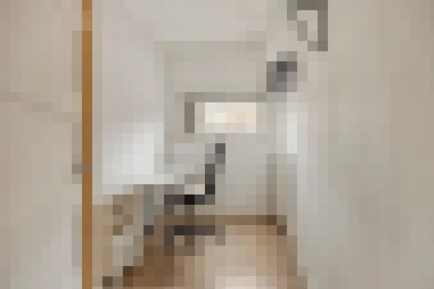 Mecklenburgstraat 22 Eindhoven thumbnail 20