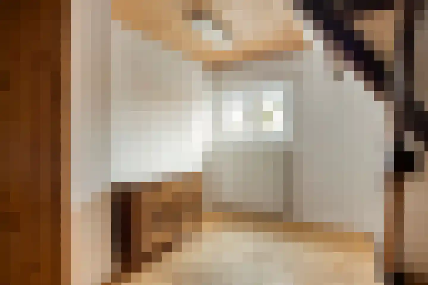Mecklenburgstraat 22 Eindhoven thumbnail 22