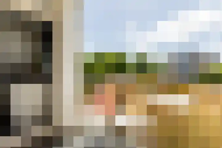Mecklenburgstraat 23 Ridderkerk thumbnail 29