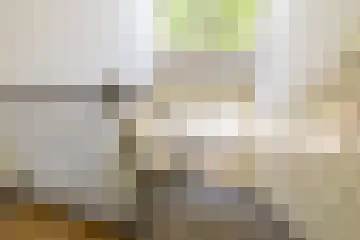Mecklenburgstraat 23 Ridderkerk thumbnail 9
