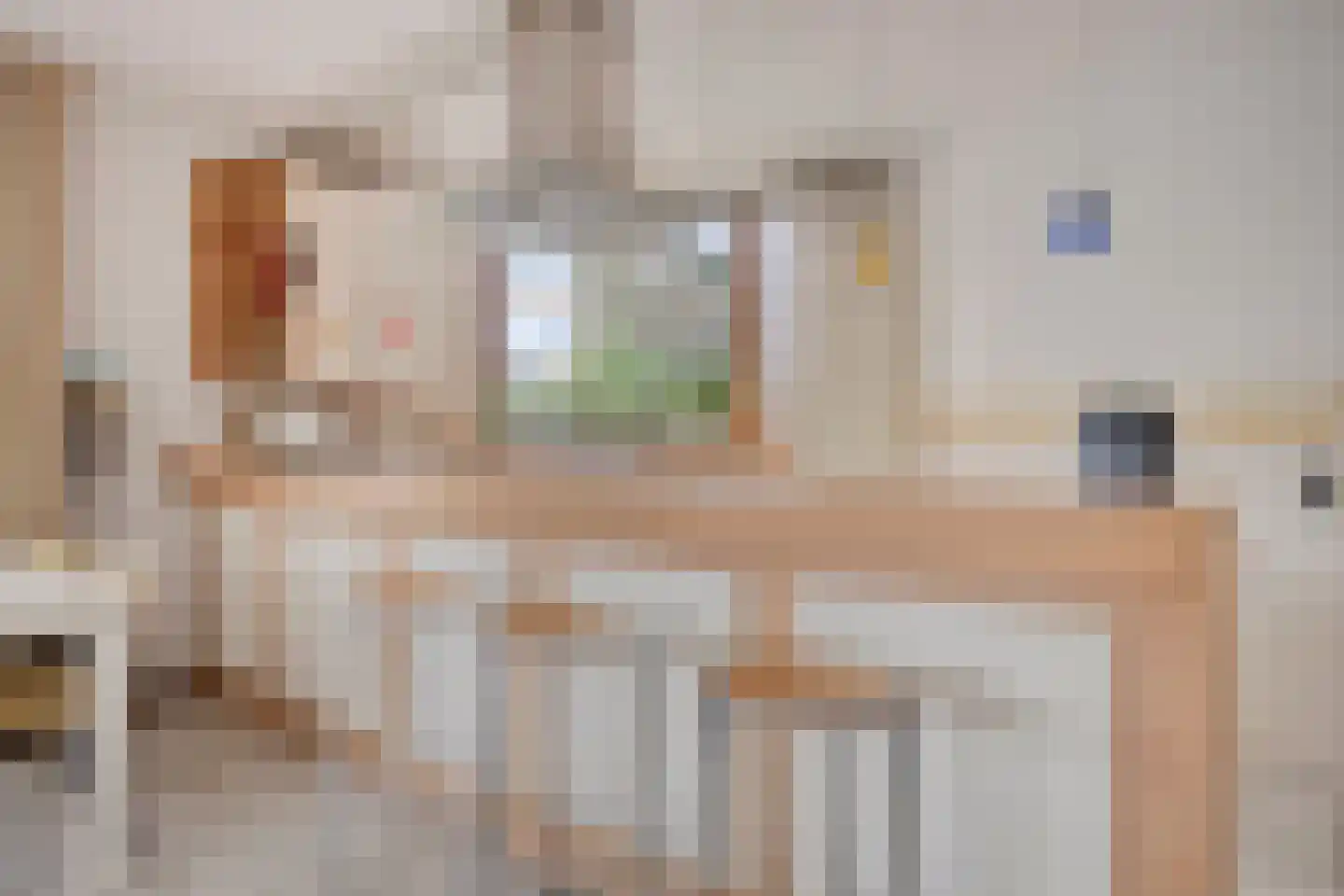 Mecklenburgstraat 35 Zoetermeer thumbnail 16