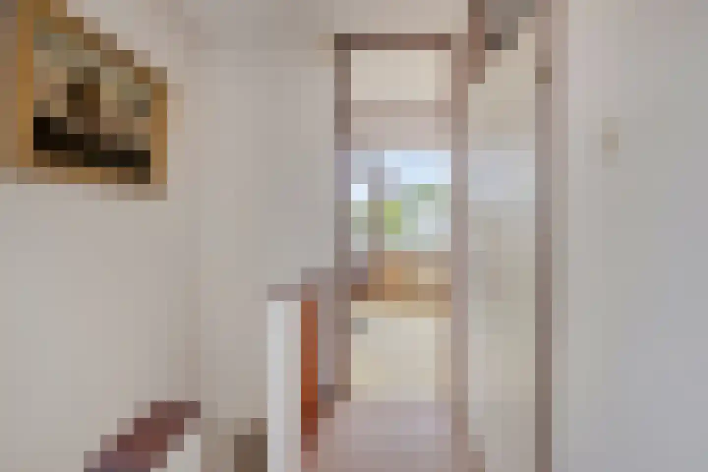 Mecklenburgstraat 35 Zoetermeer thumbnail 54