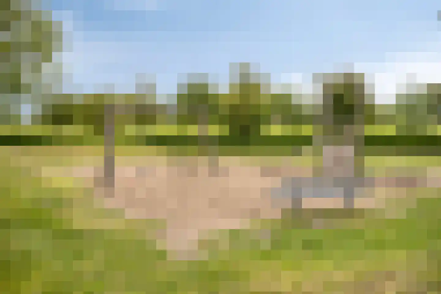 Mecklenburgstraat 35 Zoetermeer thumbnail 66
