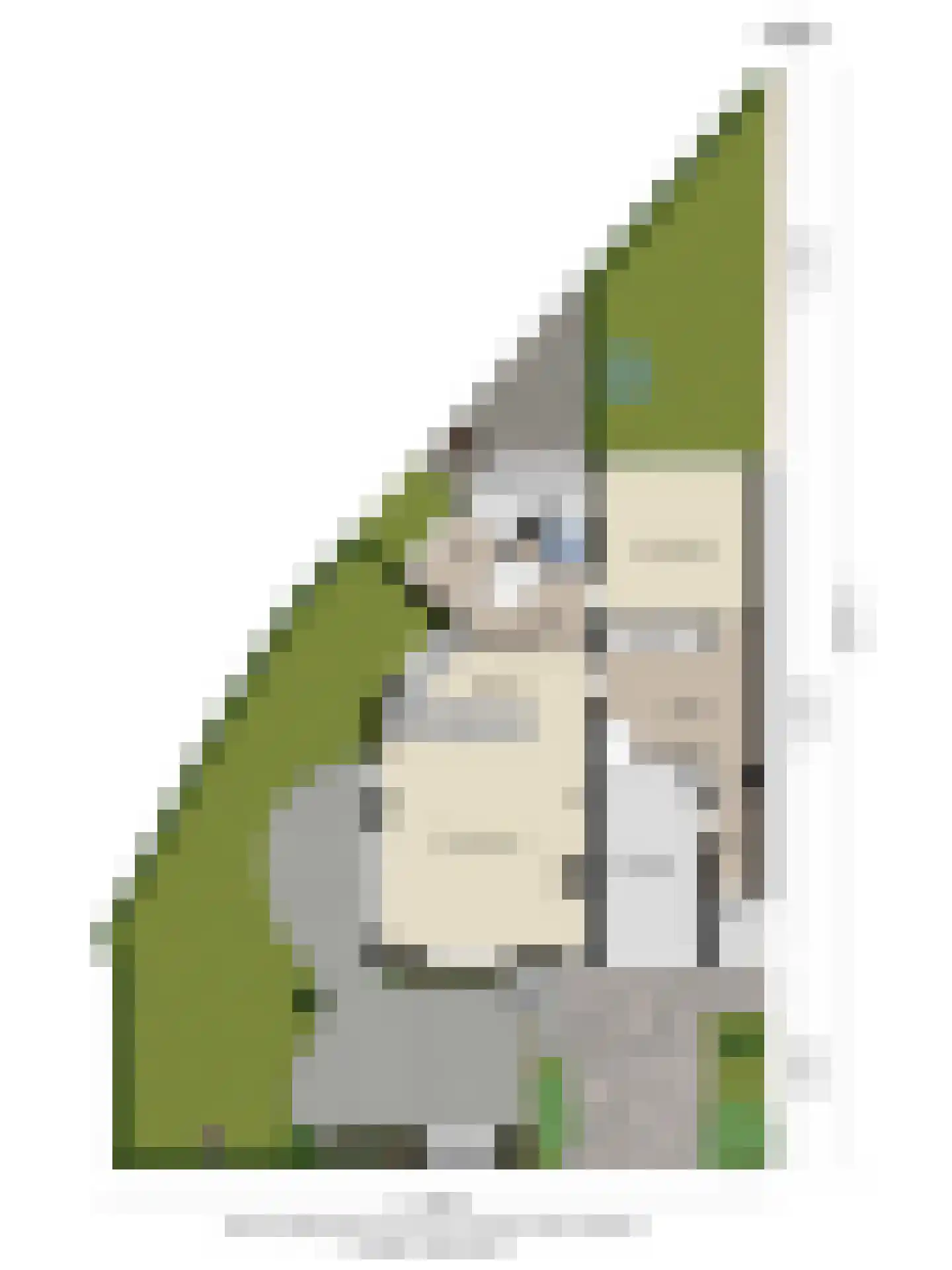 Mecklenburgstraat 35 Zoetermeer thumbnail 69