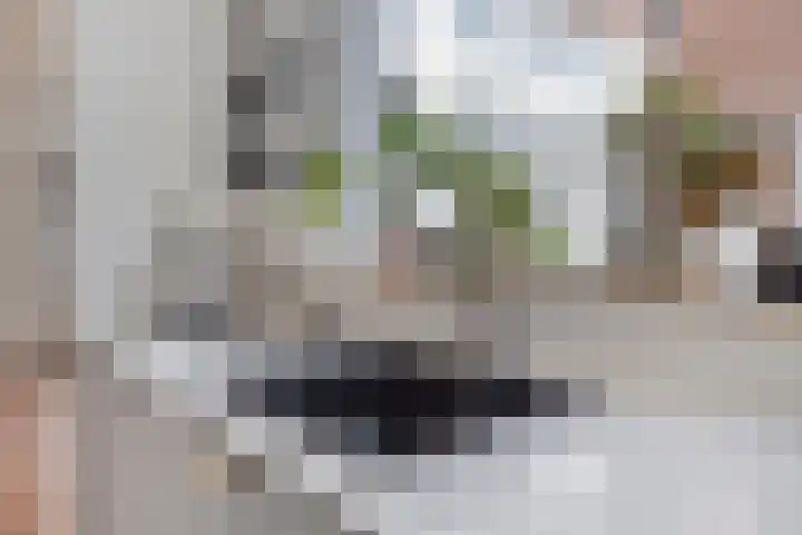Mecklenburgstraat 41 Eindhoven thumbnail 12