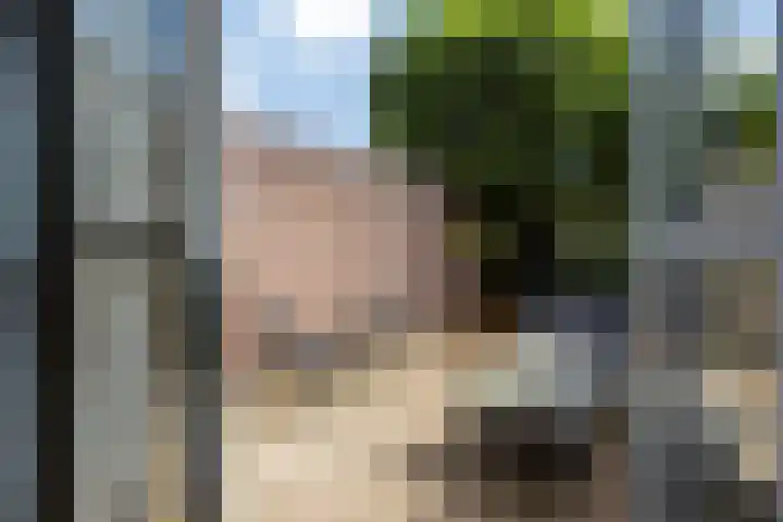 Mecklenburgstraat 41 Eindhoven thumbnail 23