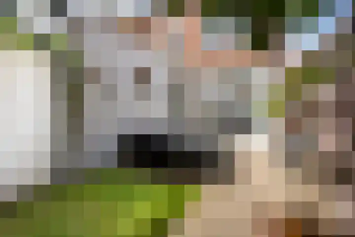 Mecklenburgstraat 41 Eindhoven thumbnail 25