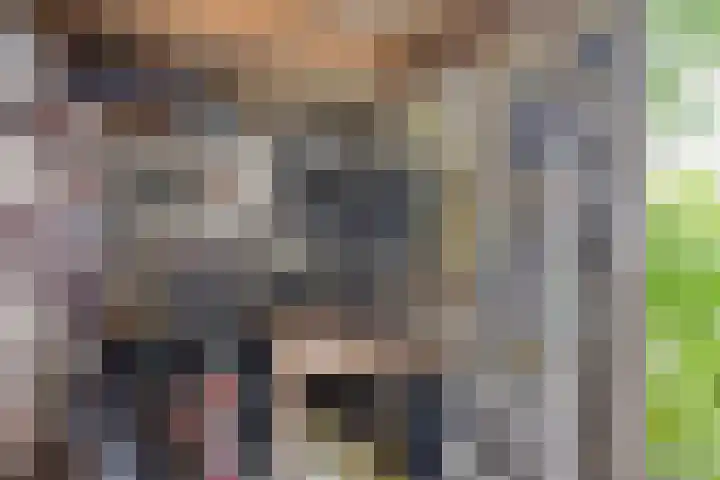 Mecklenburgstraat 41 Eindhoven thumbnail 27