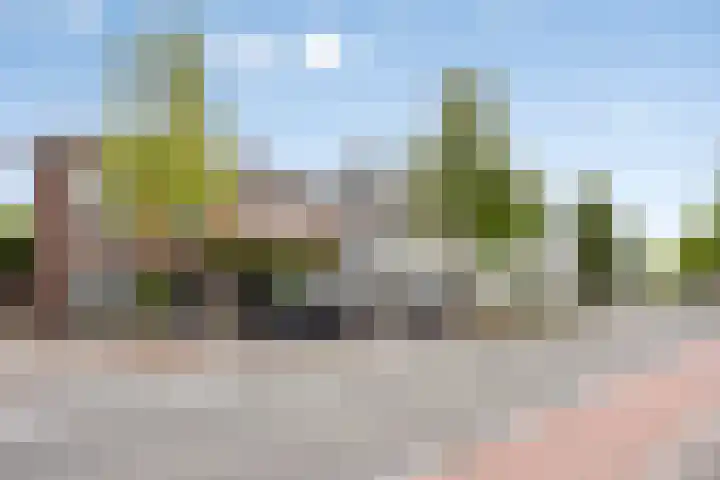 Mecklenburgstraat 41 Eindhoven thumbnail 30
