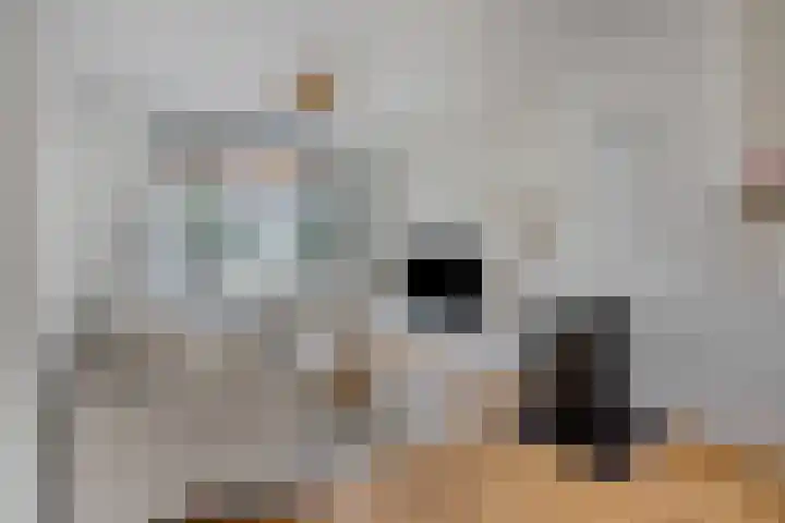 Mecklenburgstraat 41 Eindhoven thumbnail 6