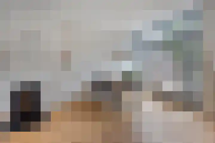 Mecklenburgstraat 41 Eindhoven thumbnail 9