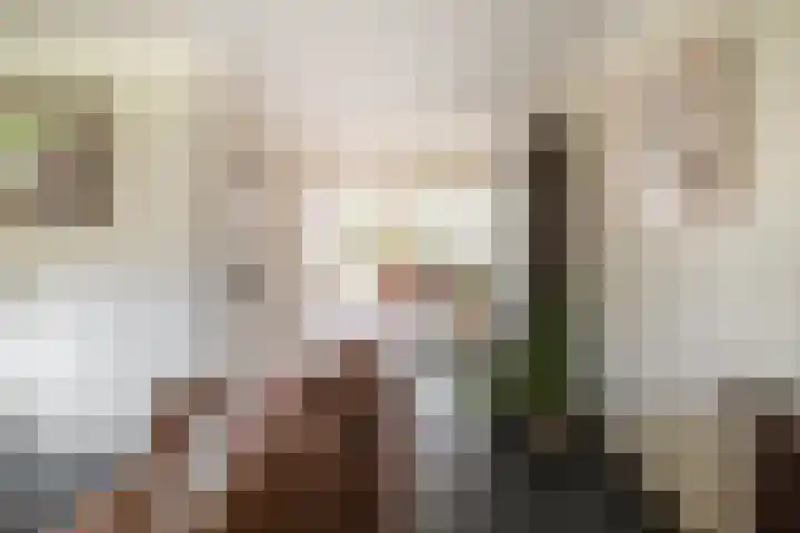 Mecklenburgstraat 5 Deventer