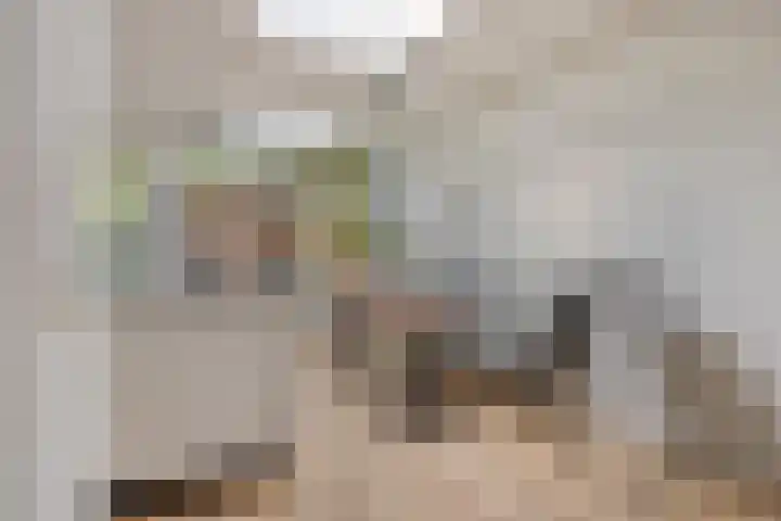 Mecklenburgstraat 56 Eindhoven thumbnail 11