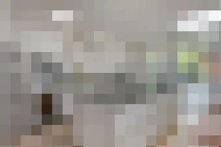 Mecklenburgstraat 56 Eindhoven thumbnail 17