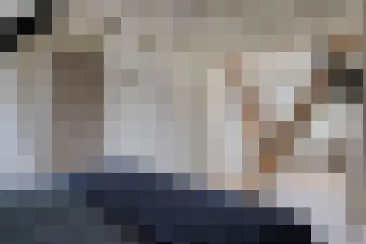 Mecklenburgstraat 56 Eindhoven thumbnail 30