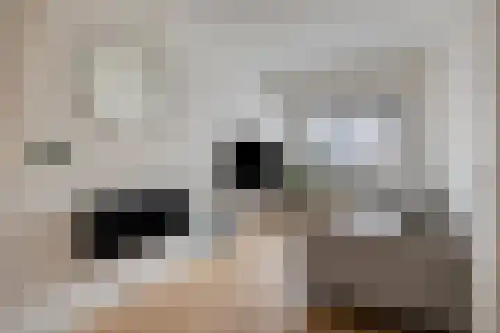 Mecklenburgstraat 56 Eindhoven thumbnail 6