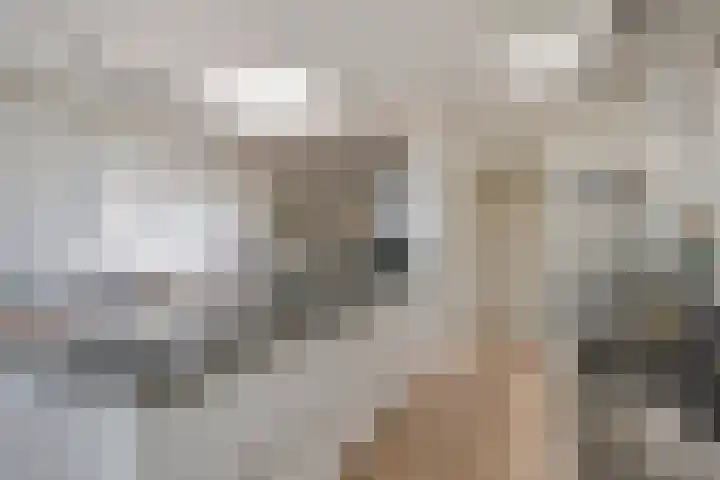 Mecklenburgstraat 56 Eindhoven thumbnail 9
